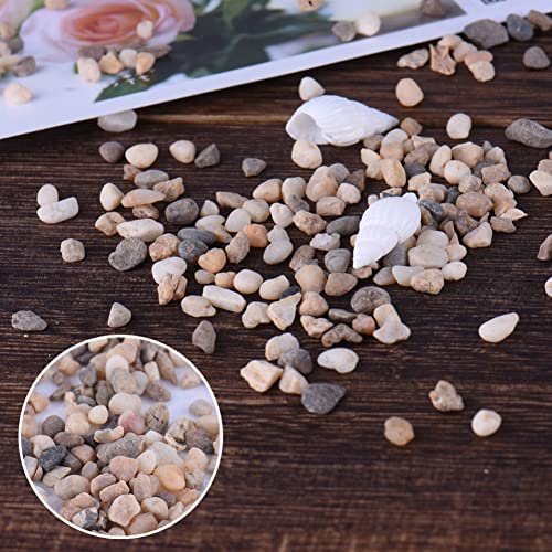 Your one-stop shop for diverse, top-quality aquarium supplies and accessories