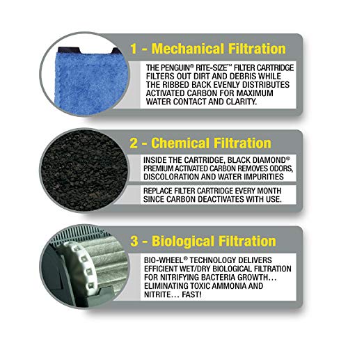 Your one-stop shop for diverse, top-quality aquarium supplies and accessories