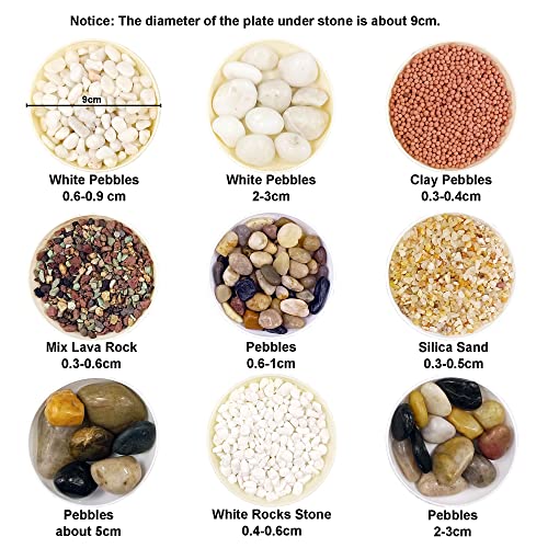 Your one-stop shop for diverse, top-quality aquarium supplies and accessories