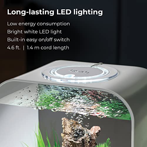 Your one-stop shop for diverse, top-quality aquarium supplies and accessories