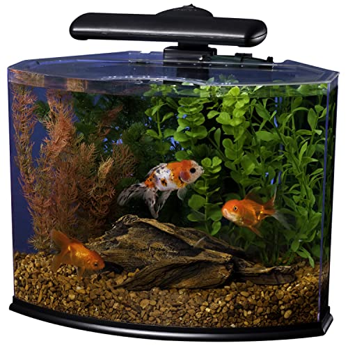 Your one-stop shop for diverse, top-quality aquarium supplies and accessories