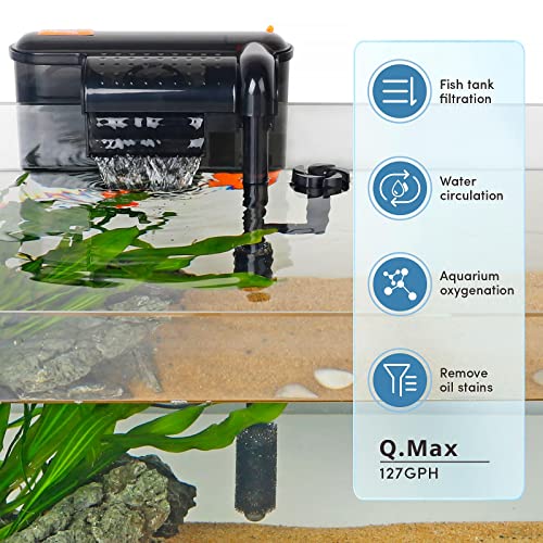 Your one-stop shop for diverse, top-quality aquarium supplies and accessories