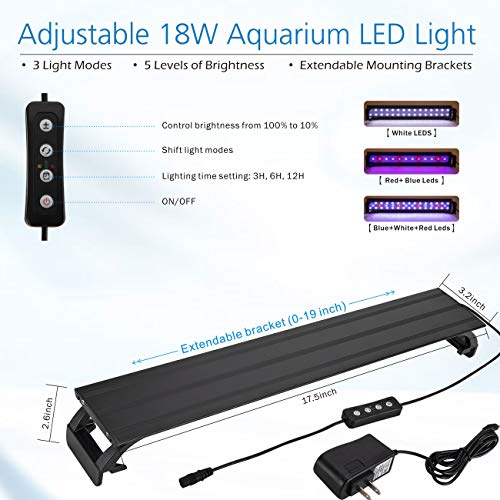 Your one-stop shop for diverse, top-quality aquarium supplies and accessories