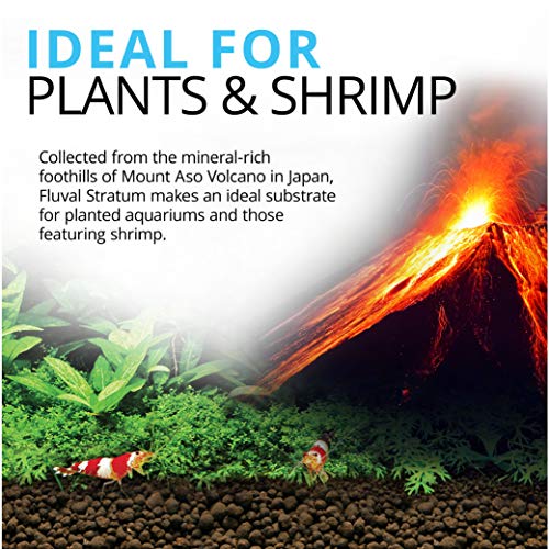 Your one-stop shop for diverse, top-quality aquarium supplies and accessories