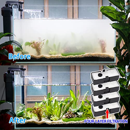 Your one-stop shop for diverse, top-quality aquarium supplies and accessories