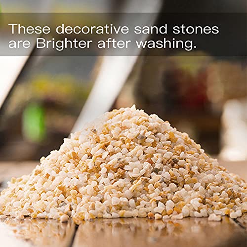 Your one-stop shop for diverse, top-quality aquarium supplies and accessories