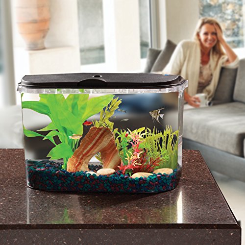 Your one-stop shop for diverse, top-quality aquarium supplies and accessories