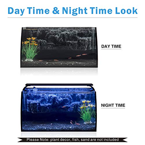 Your one-stop shop for diverse, top-quality aquarium supplies and accessories