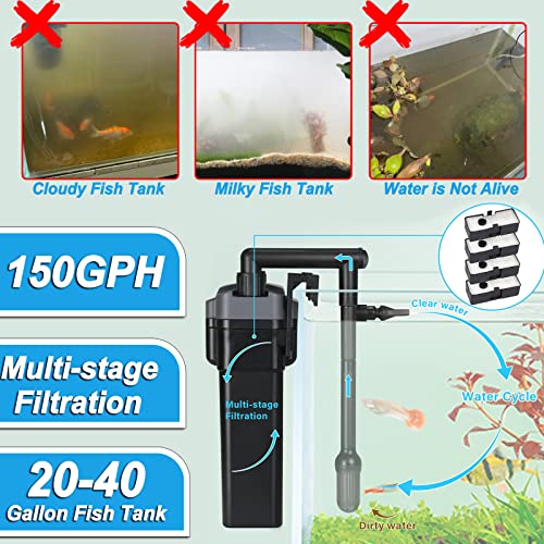 Your one-stop shop for diverse, top-quality aquarium supplies and accessories