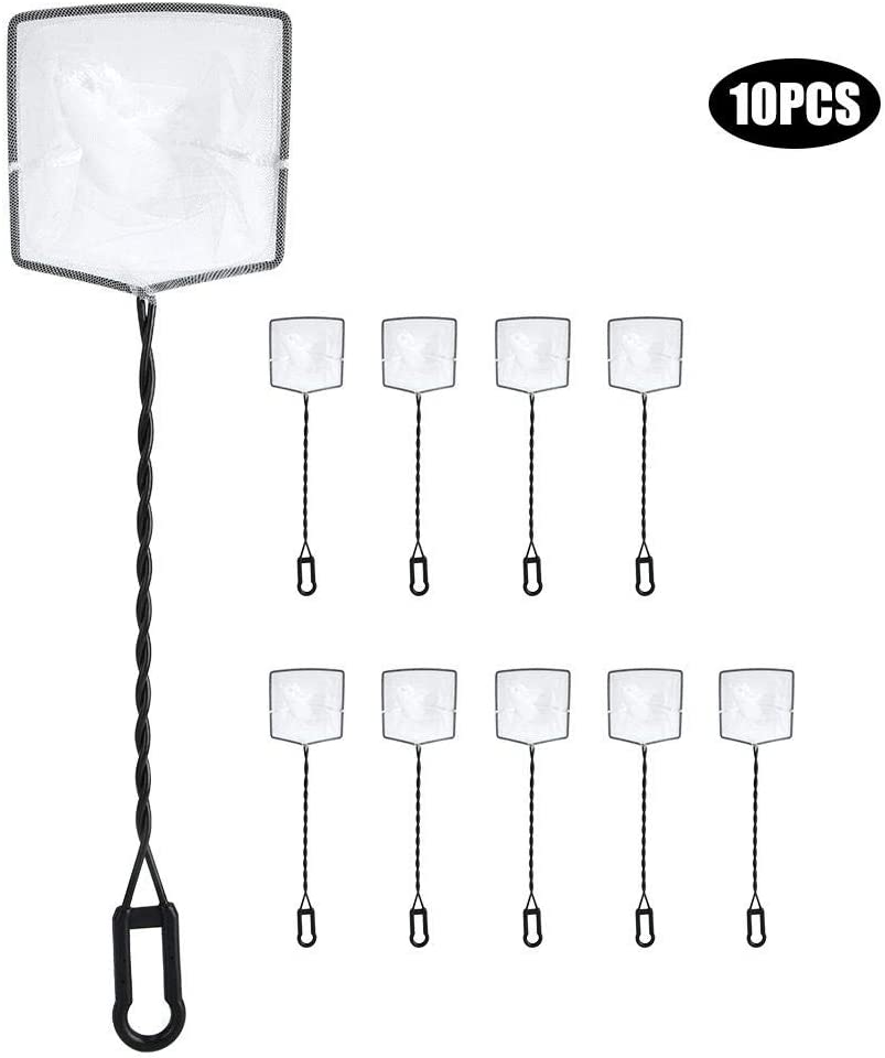Your one-stop shop for diverse, top-quality aquarium supplies and accessories