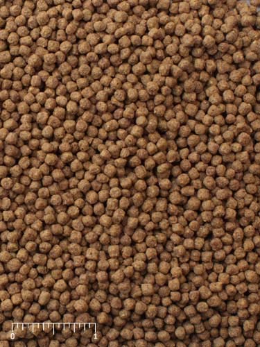 Your one-stop shop for diverse, top-quality aquarium supplies and accessories