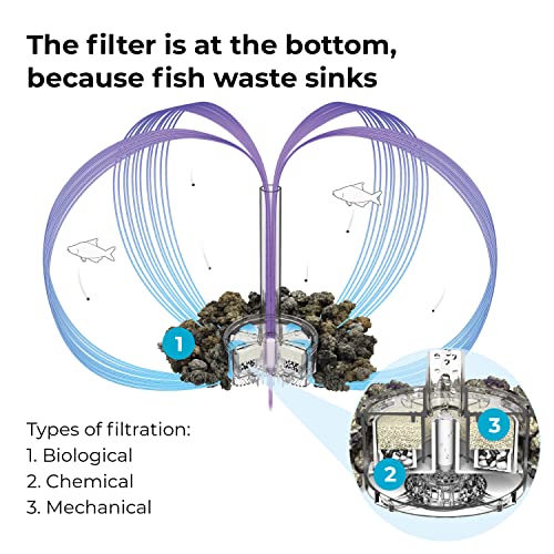 Your one-stop shop for diverse, top-quality aquarium supplies and accessories