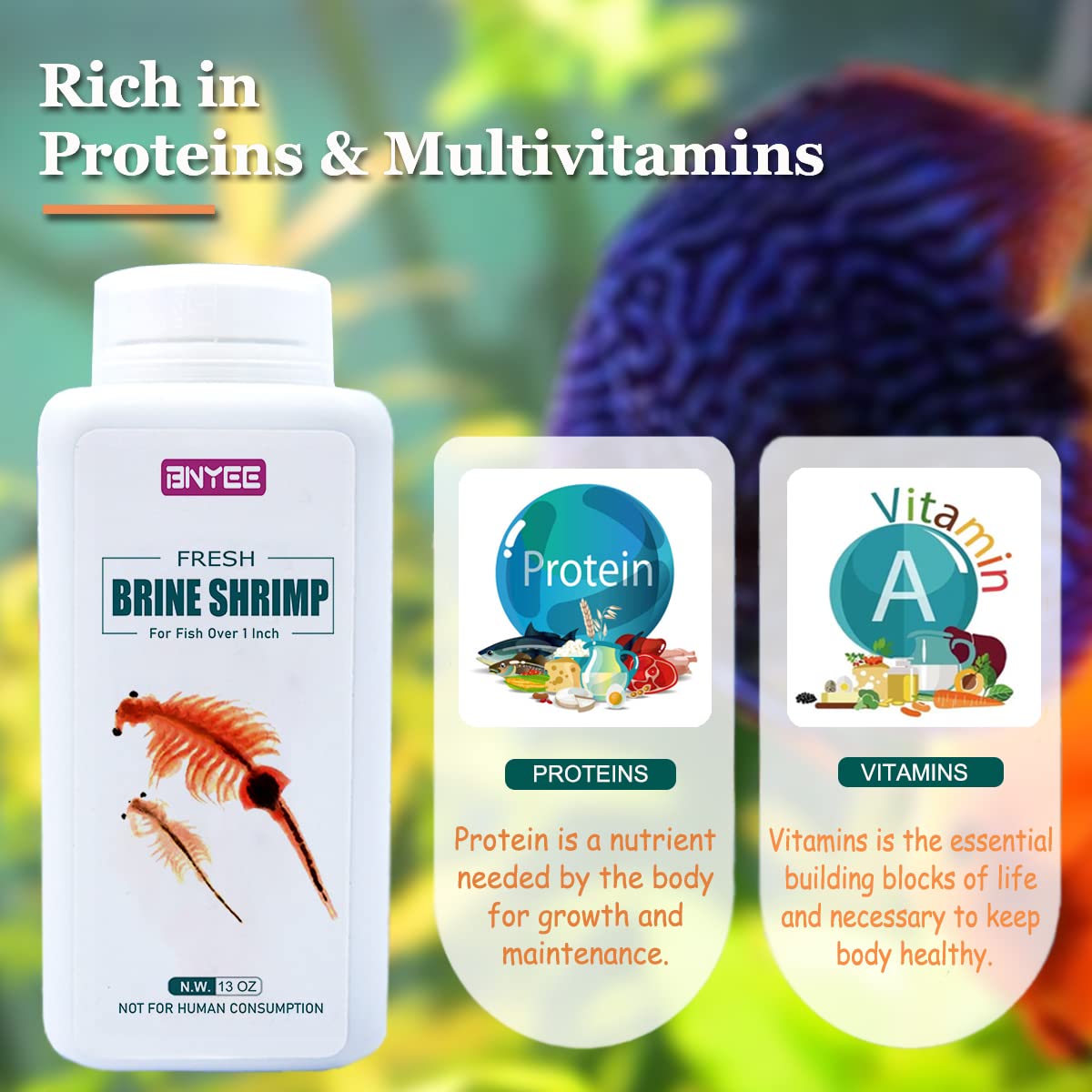 Your one-stop shop for diverse, top-quality aquarium supplies and accessories