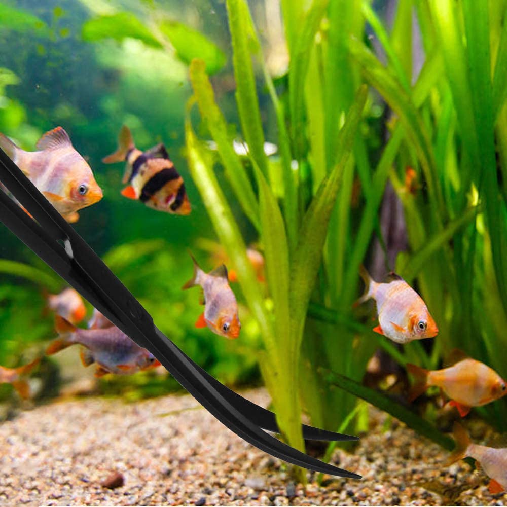 Your one-stop shop for diverse, top-quality aquarium supplies and accessories