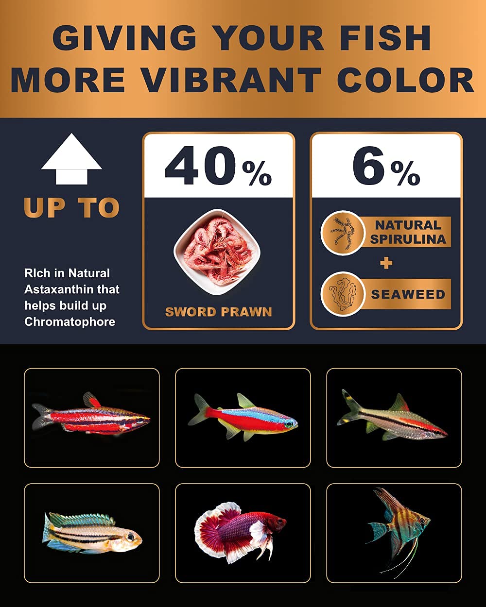 Your one-stop shop for diverse, top-quality aquarium supplies and accessories