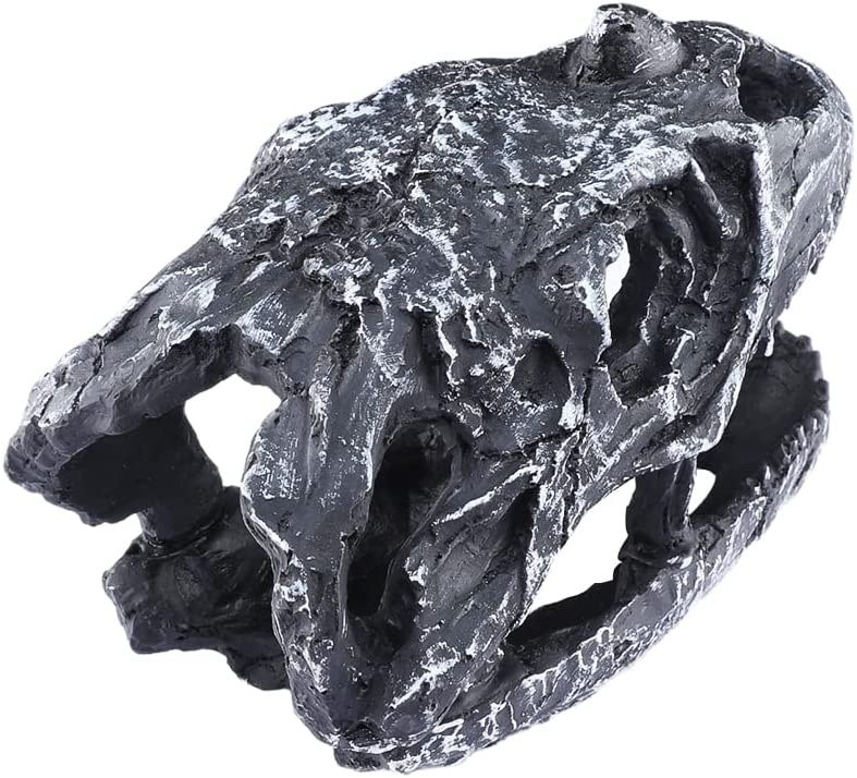 Your one-stop shop for diverse, top-quality aquarium supplies and accessories