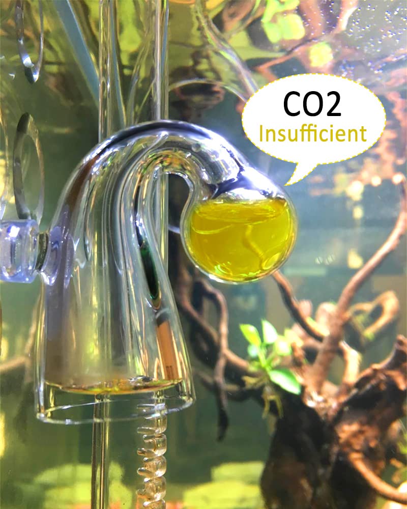 Your one-stop shop for diverse, top-quality aquarium supplies and accessories