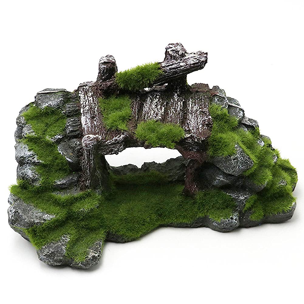 Your one-stop shop for diverse, top-quality aquarium supplies and accessories