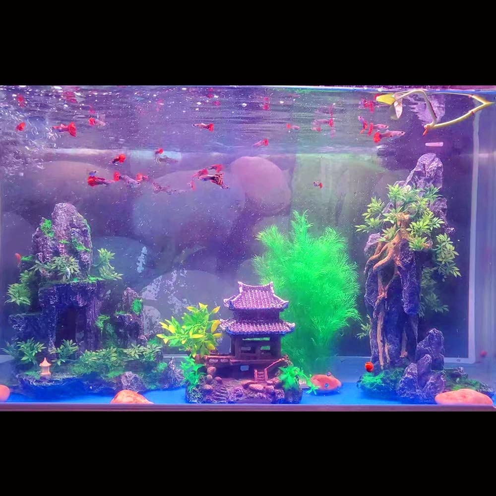 Your one-stop shop for diverse, top-quality aquarium supplies and accessories