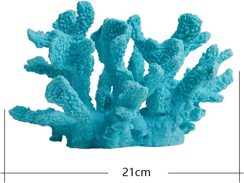 Your one-stop shop for diverse, top-quality aquarium supplies and accessories