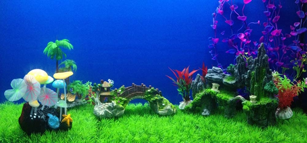 Your one-stop shop for diverse, top-quality aquarium supplies and accessories