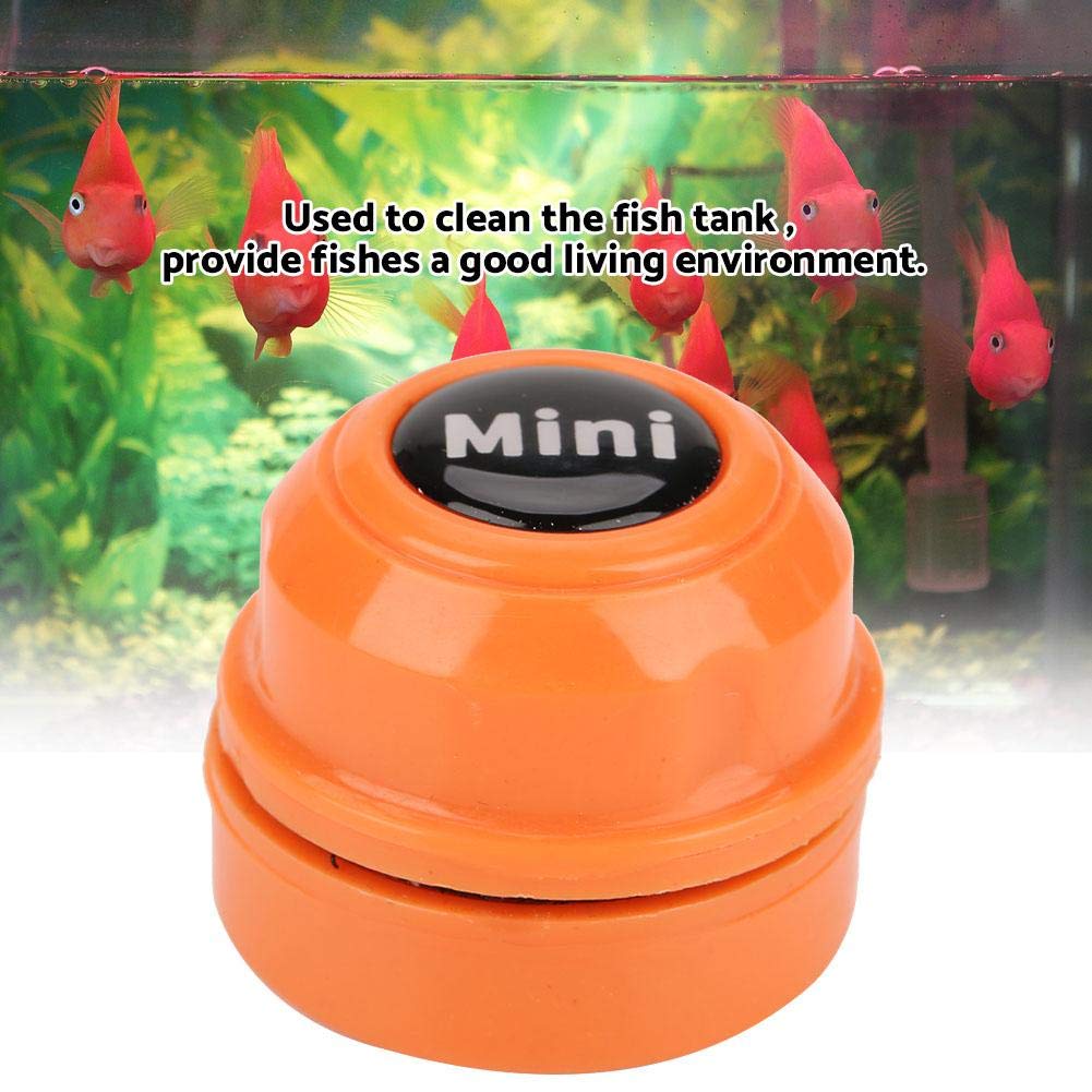 Your one-stop shop for diverse, top-quality aquarium supplies and accessories