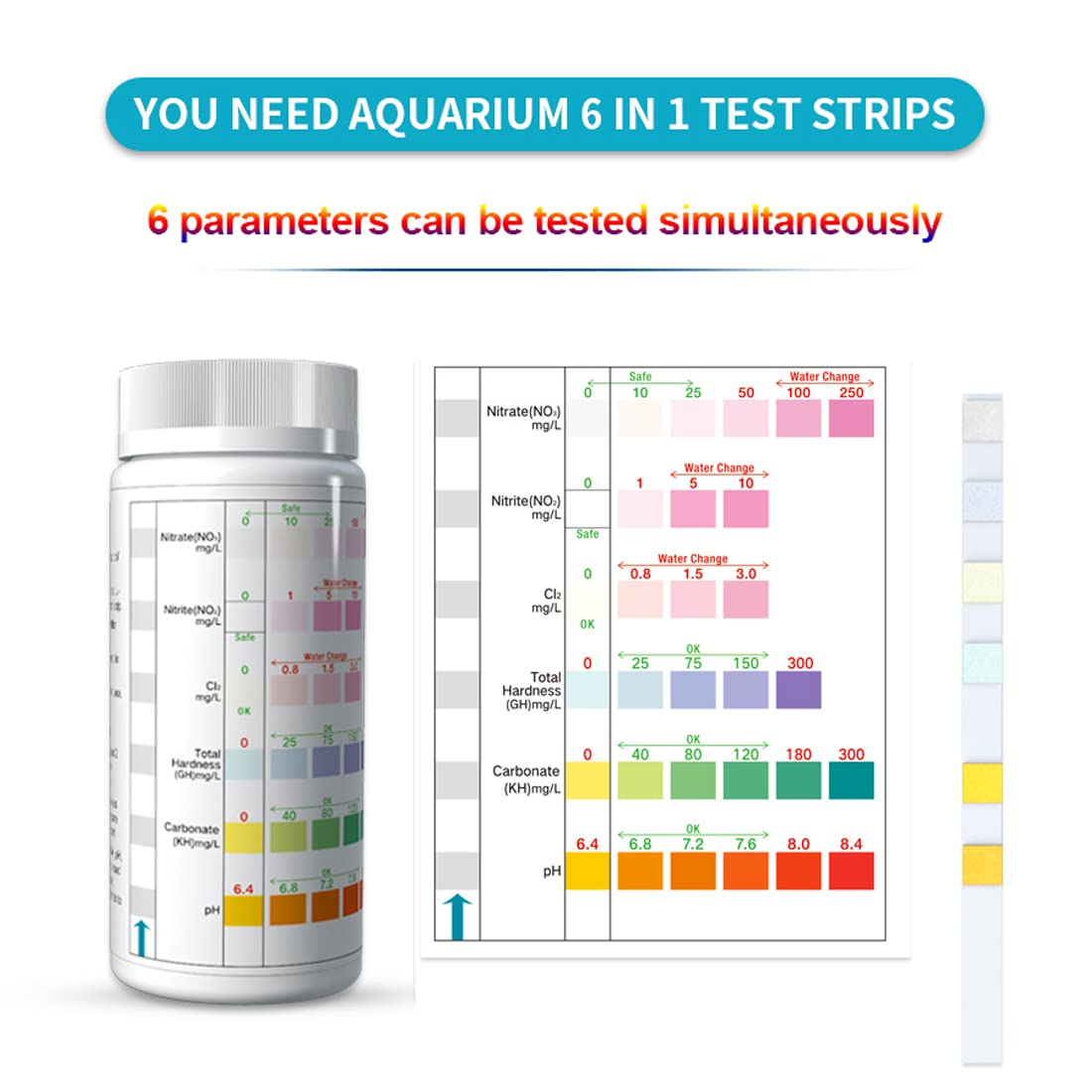 Your one-stop shop for diverse, top-quality aquarium supplies and accessories