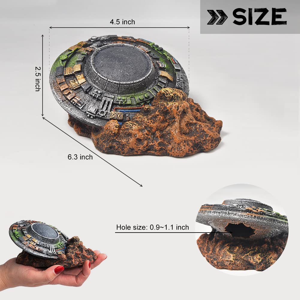 Your one-stop shop for diverse, top-quality aquarium supplies and accessories