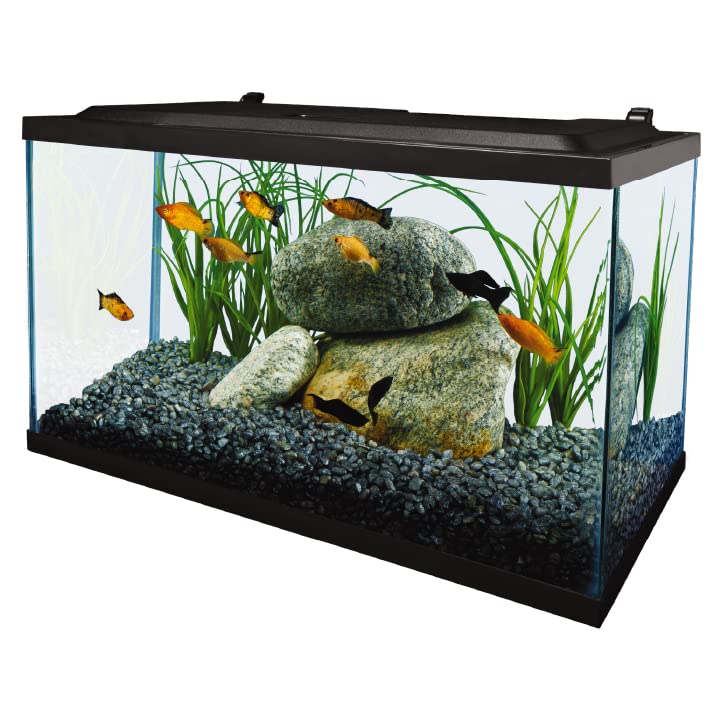 Your one-stop shop for diverse, top-quality aquarium supplies and accessories