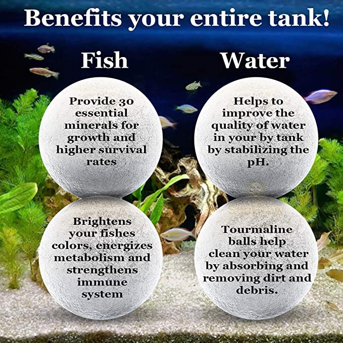 Your one-stop shop for diverse, top-quality aquarium supplies and accessories