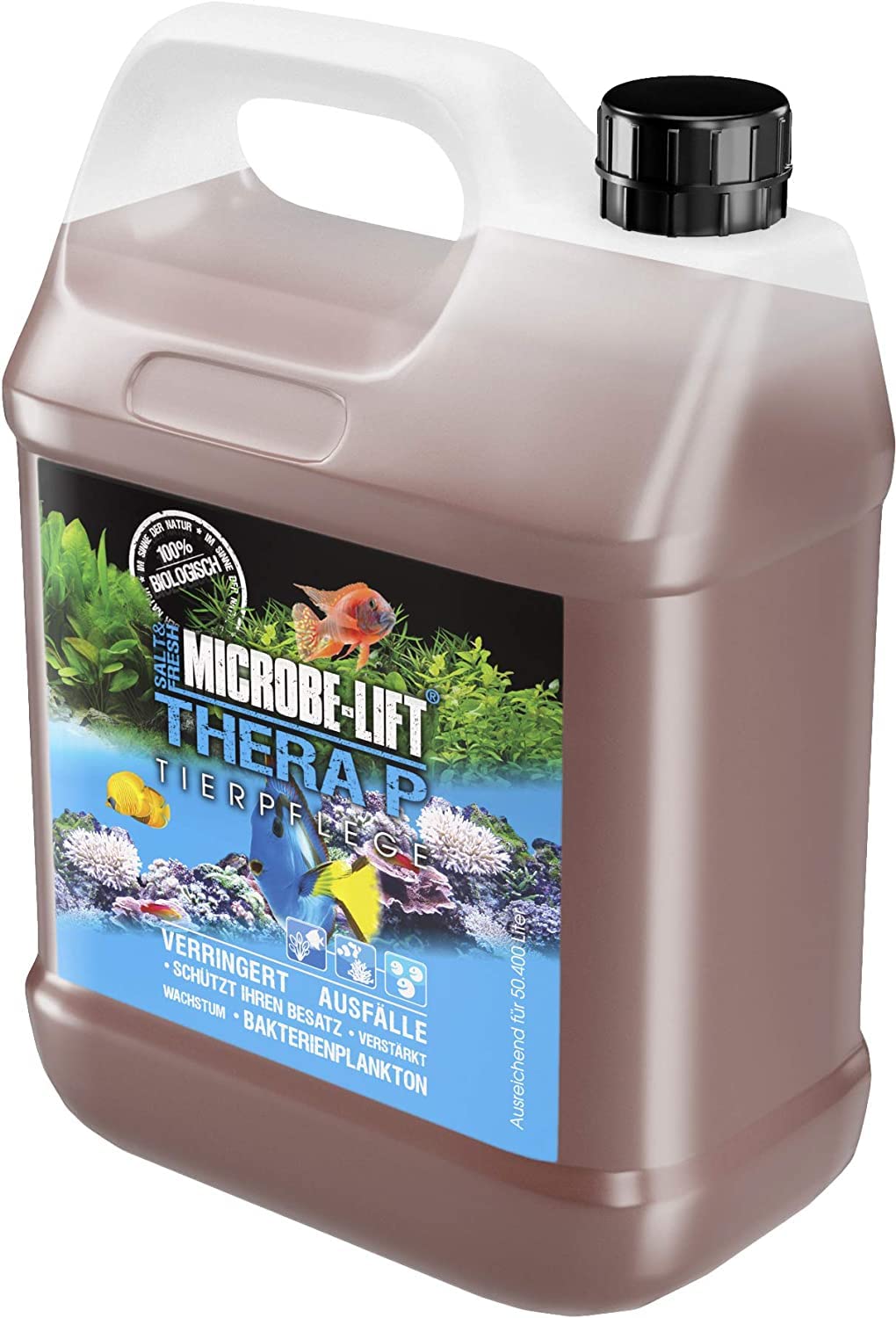 Your one-stop shop for diverse, top-quality aquarium supplies and accessories
