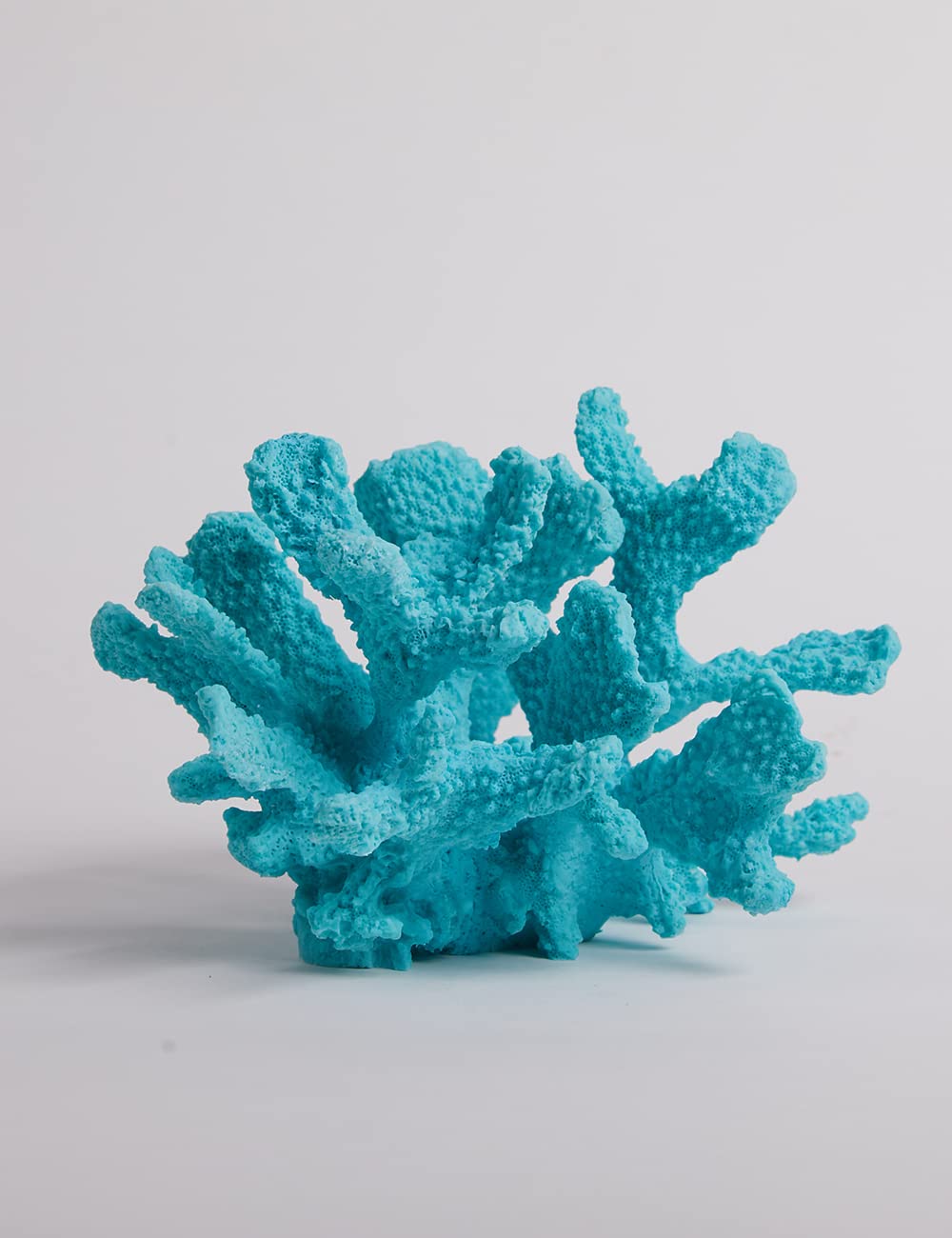 Your one-stop shop for diverse, top-quality aquarium supplies and accessories