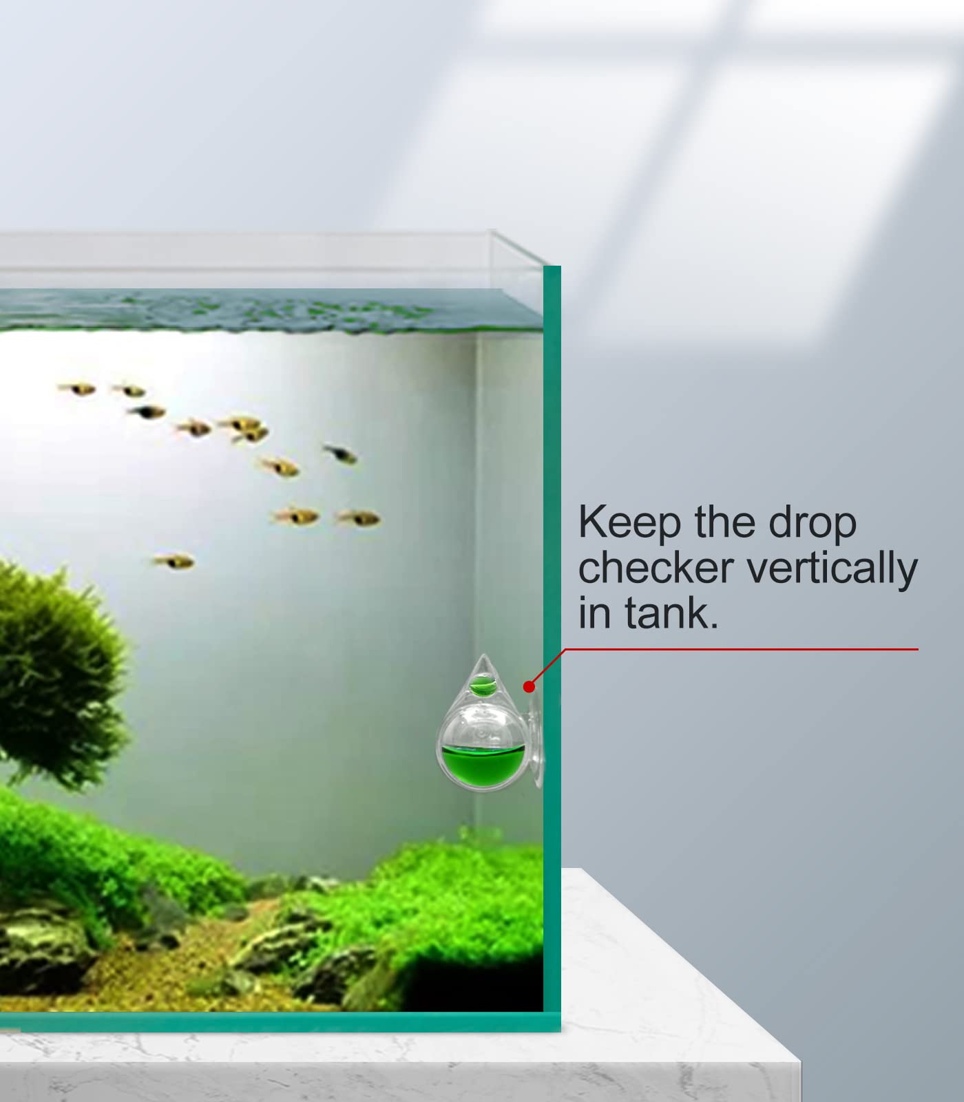 Your one-stop shop for diverse, top-quality aquarium supplies and accessories