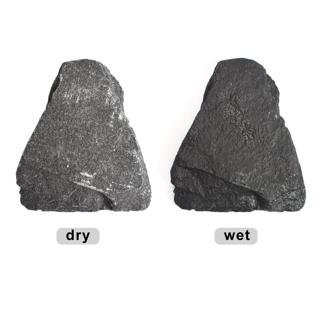 Your one-stop shop for diverse, top-quality aquarium supplies and accessories