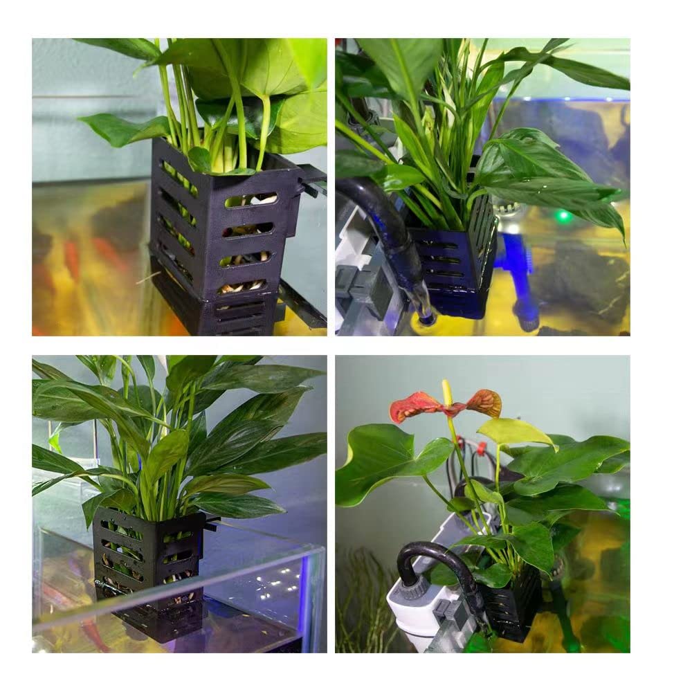 Your one-stop shop for diverse, top-quality aquarium supplies and accessories