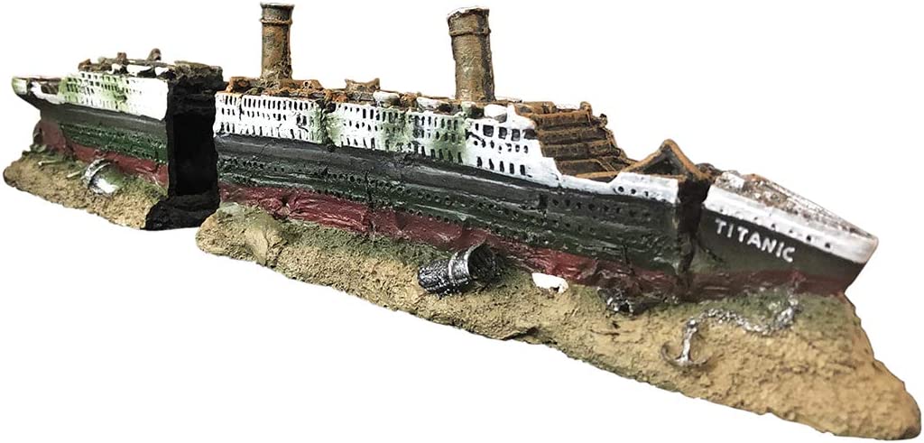 Your one-stop shop for diverse, top-quality aquarium supplies and accessories