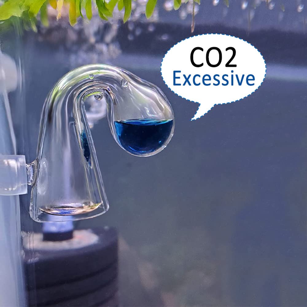 Your one-stop shop for diverse, top-quality aquarium supplies and accessories