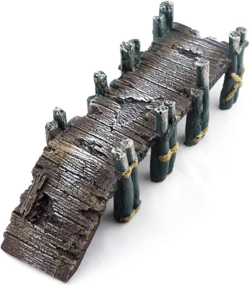 Your one-stop shop for diverse, top-quality aquarium supplies and accessories