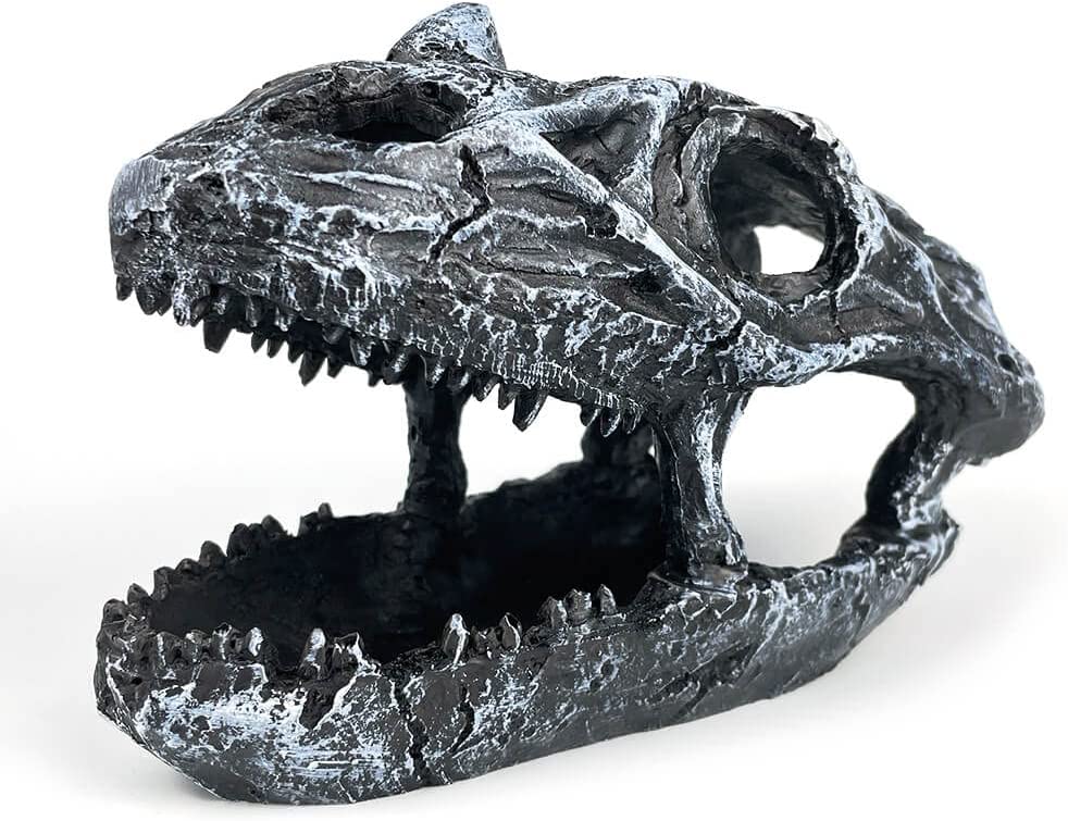 Your one-stop shop for diverse, top-quality aquarium supplies and accessories