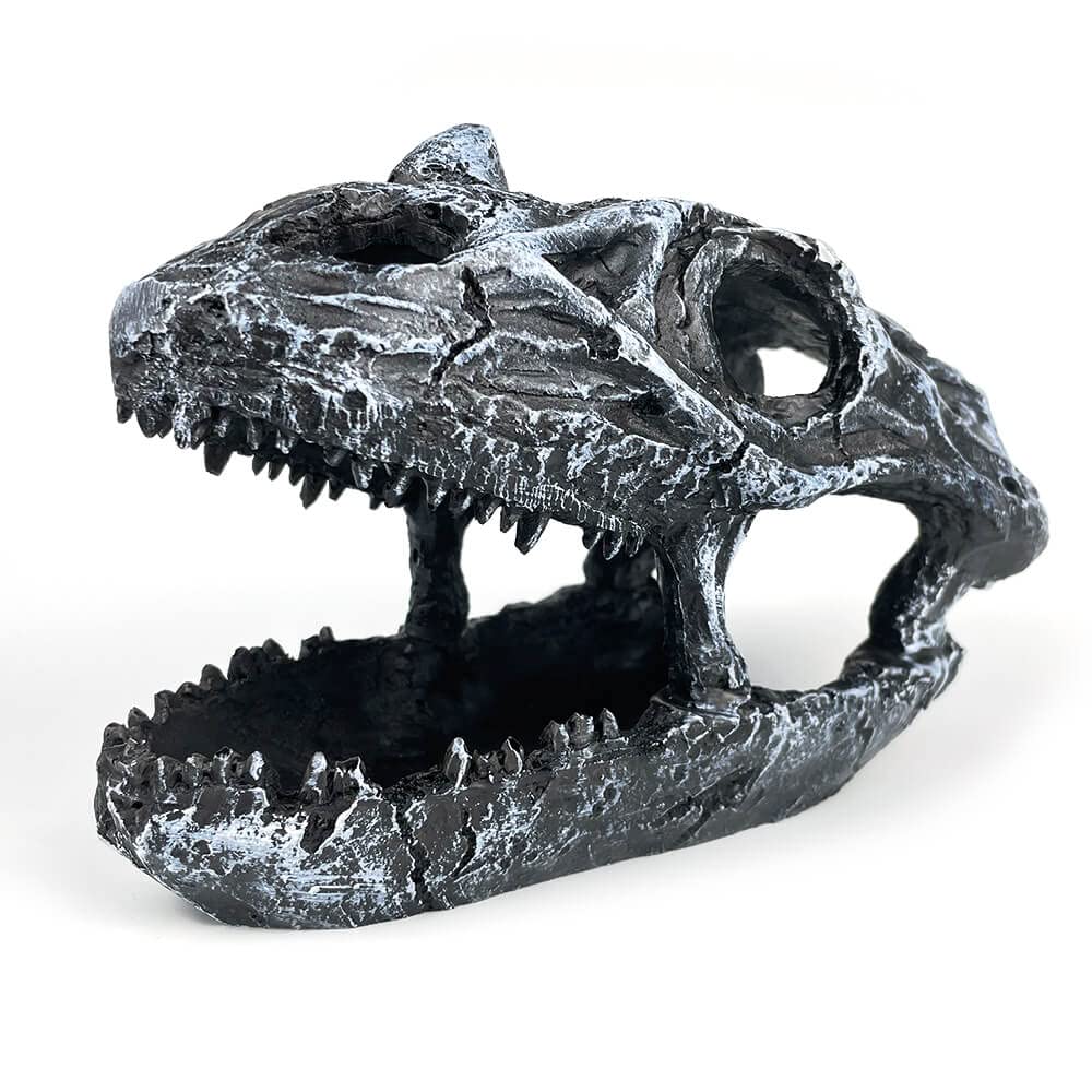 Your one-stop shop for diverse, top-quality aquarium supplies and accessories