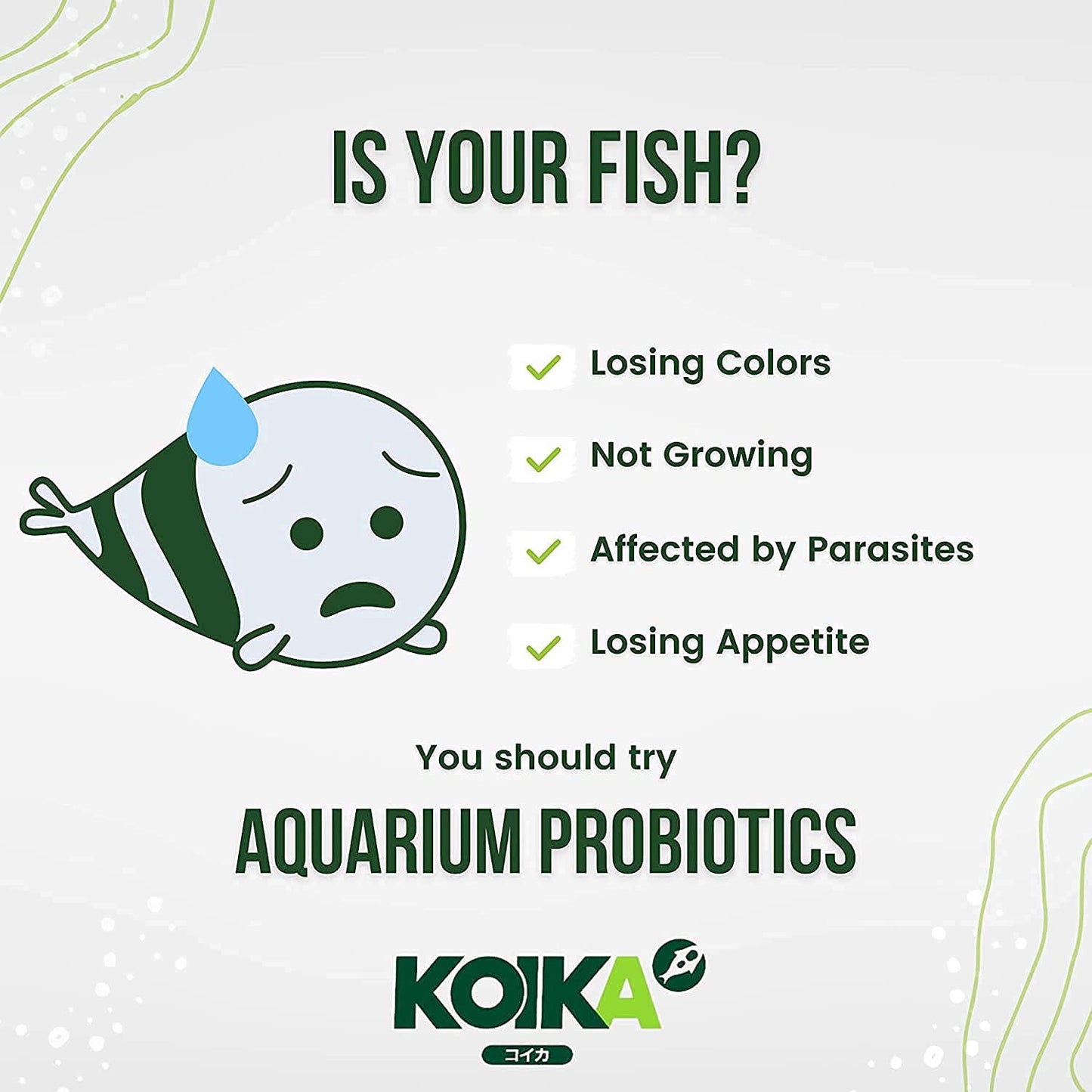 Your one-stop shop for diverse, top-quality aquarium supplies and accessories