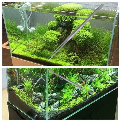 Your one-stop shop for diverse, top-quality aquarium supplies and accessories