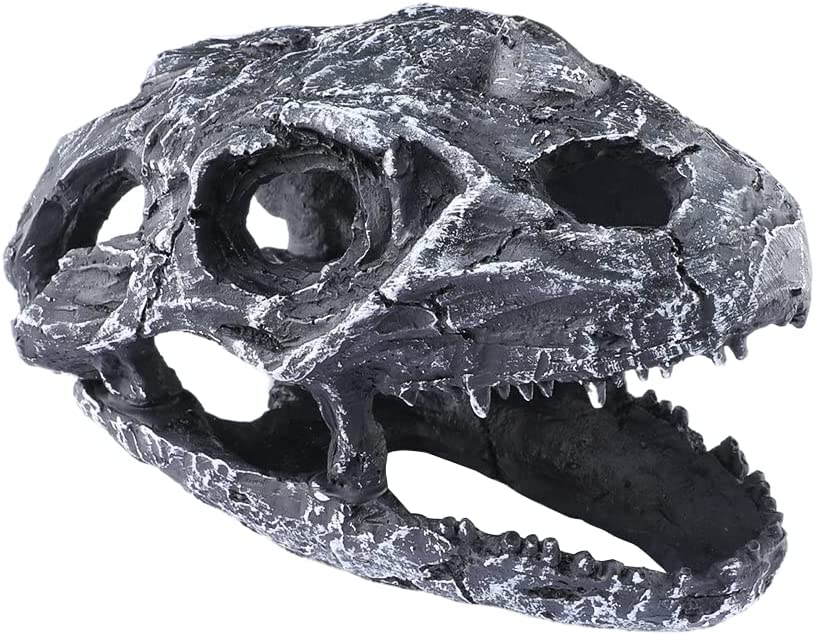 Your one-stop shop for diverse, top-quality aquarium supplies and accessories