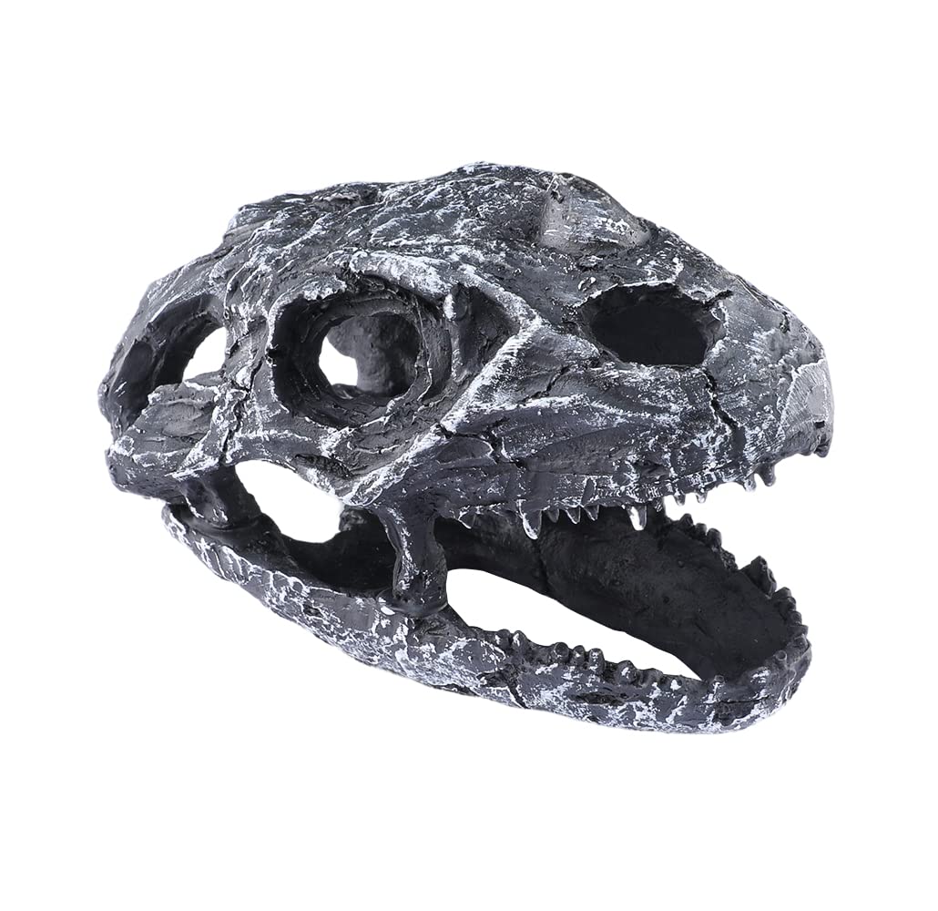 Your one-stop shop for diverse, top-quality aquarium supplies and accessories