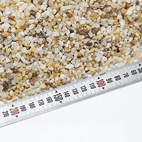 Your one-stop shop for diverse, top-quality aquarium supplies and accessories
