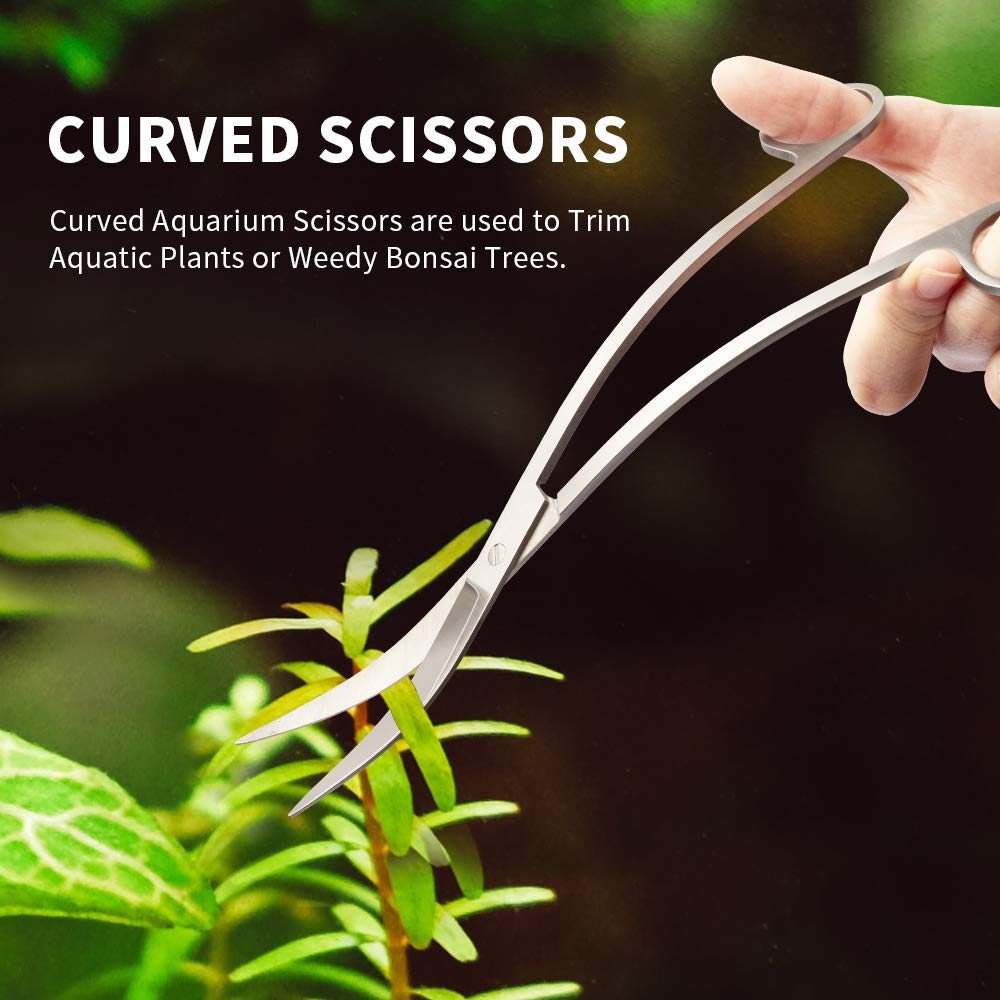 Your one-stop shop for diverse, top-quality aquarium supplies and accessories