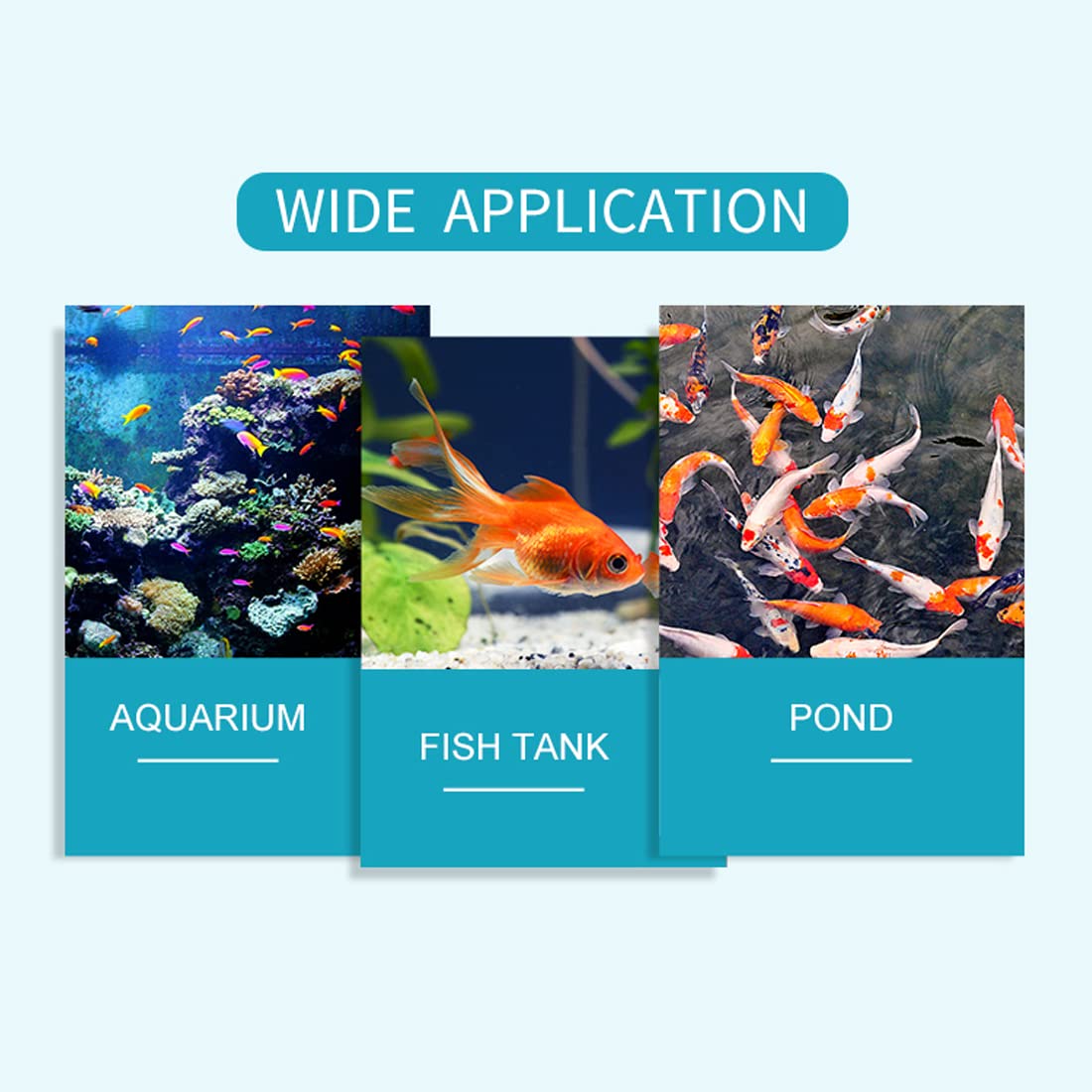 Your one-stop shop for diverse, top-quality aquarium supplies and accessories