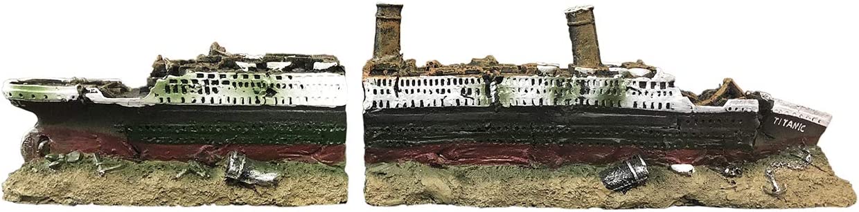 Your one-stop shop for diverse, top-quality aquarium supplies and accessories