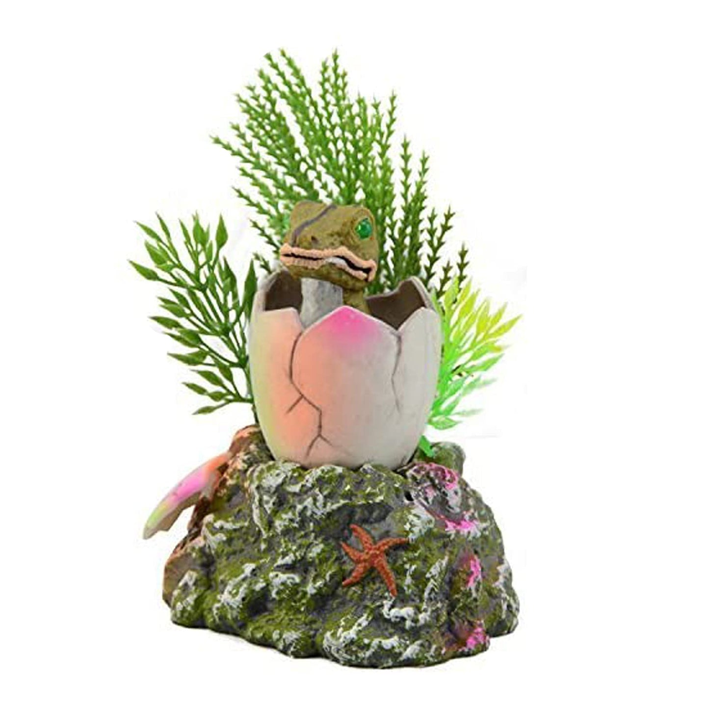 Your one-stop shop for diverse, top-quality aquarium supplies and accessories