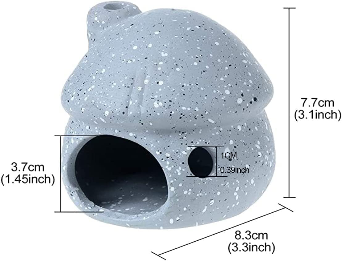 Your one-stop shop for diverse, top-quality aquarium supplies and accessories